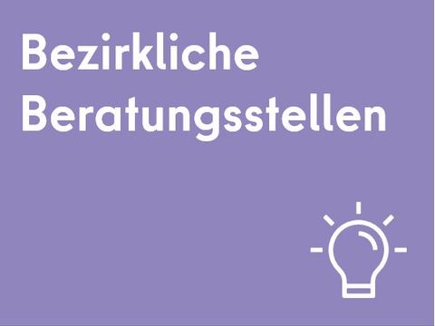 Der Titel steht in weißer Schrift auf violettem Hintergrund. In der rechten unteren Ecke ist das Symbolbild einer Glühbirne, ebenfalls in weiß.