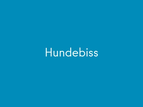 Hundebiss