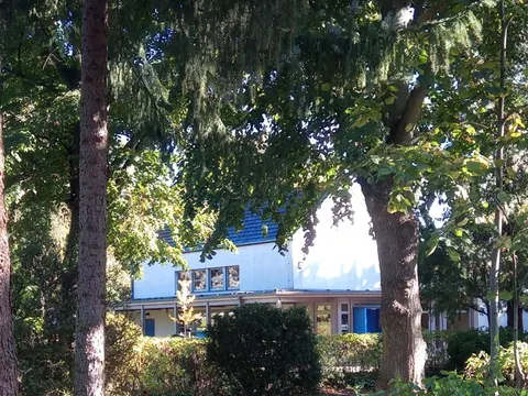 Friedhof X
