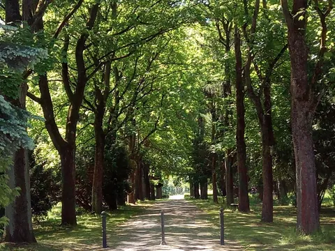 Friedhof Xll