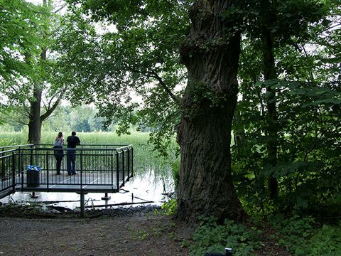 Die Aussichtsplattform bietet einen weiten Blick über den See.