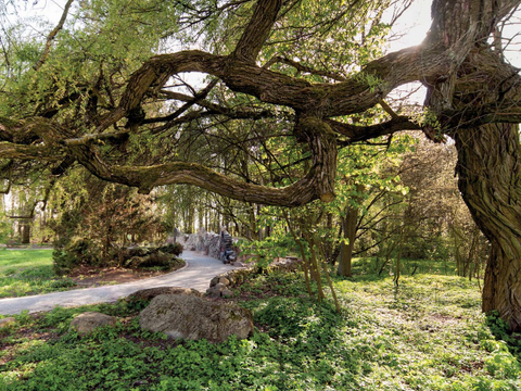Botanischer Volkspark