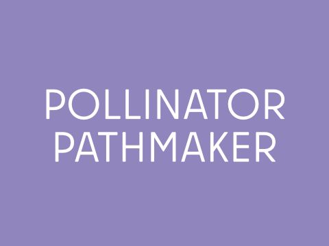 Artikel-Teaser Pollinator