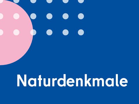 Naturdenkmale