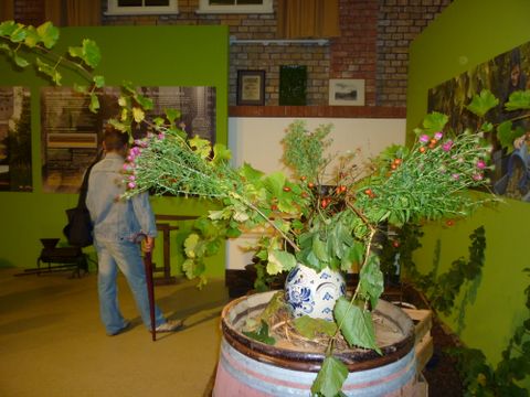 Ausstellung Berliner Weingeschichte