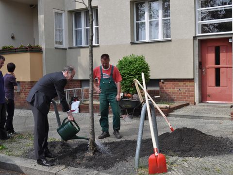 Baumpflanzung 2011