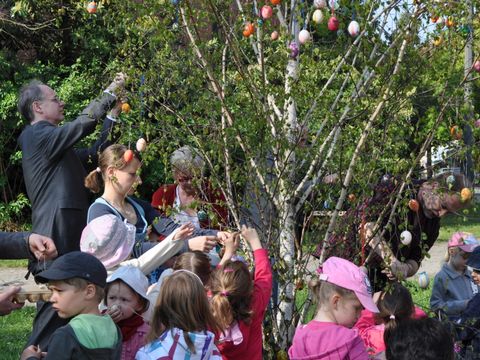 Osterbaum 2011