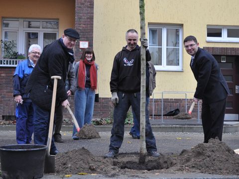 Baumpflanzung
