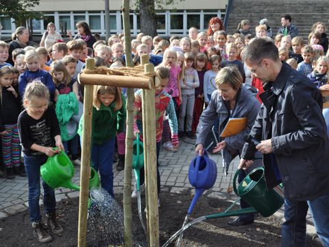 Baumpflanzung Grundschule unter den Bäumen