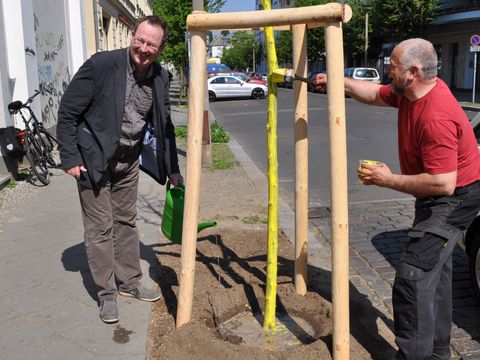 Baumpflanzung Max-Steinke-Straße