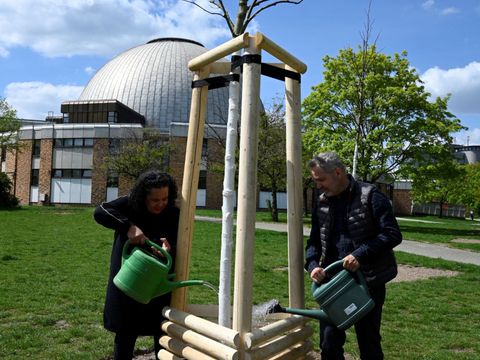 Dominique Krössin und Sören Benn gießen neugepflanzten Baum am Planetarium