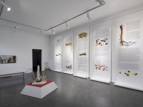 Ausstellung „How do we turn Salt into Sugar?“ (Bild: Joe Clark)