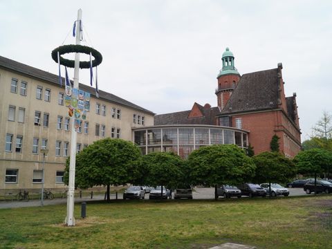 Der Maibaum auf der Rathauswiese