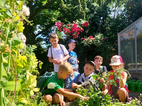 Ferienhortkinder der Grundschule am Fließtal am Beet in der Gartenarbeitsschule. (Bild: BA Reinickendorf)