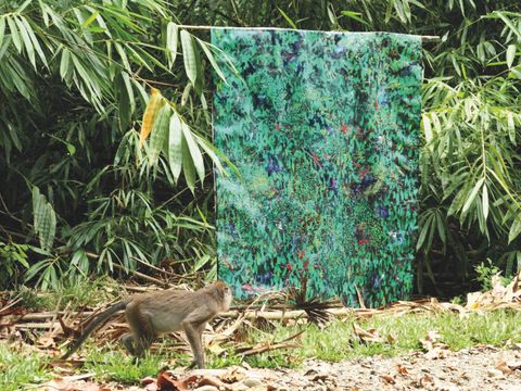 "Animal Look" von Lizza May David (Bild: Lizza May David)