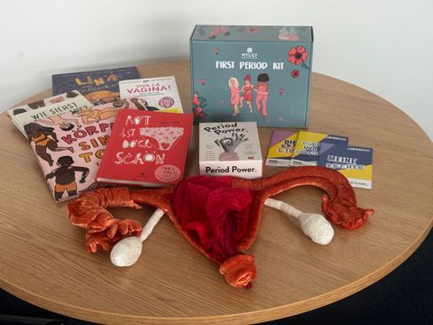 Lehrmaterialien für die sexuelle Bildung (Bild: BA Rdf)