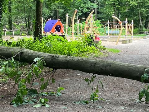 Umgestürzter Baum im Ludwig-Lesser-Park (Bild: BA Reinickendorf)