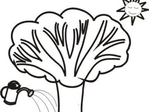 Baum-Logo der Sprachberatung