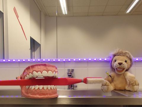 Putzzeile im Zahnärztlichen Dienst Reinickendorf