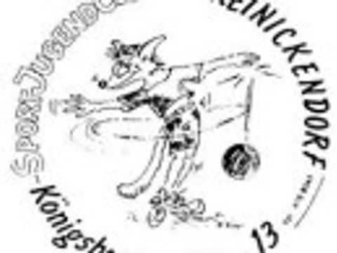 Logo Sportjugendclub VSJ e. V.