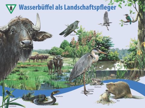 weitere Informationen