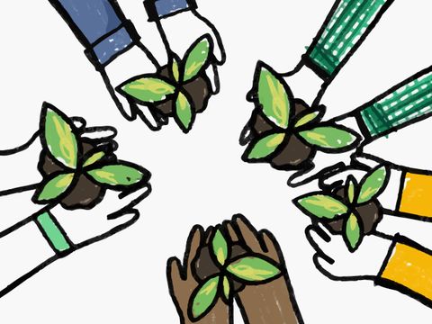 Das Bild zeigt die Hände verschiedener Menschen, die kleine Pflanzensetzlinge in der Hand halten