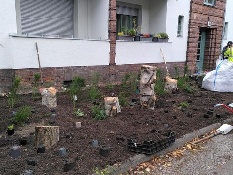 Ehrenamtliche helfen beim Pflanzen von Stauden und Sträuchern