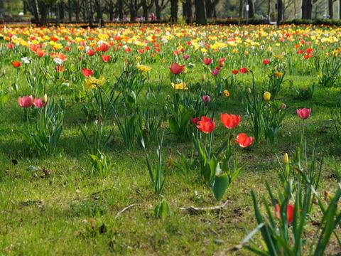 Frühling