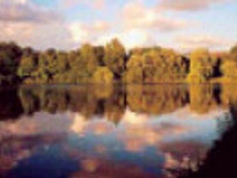 schaefersee