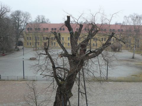 (Bild: BA-Spandau )