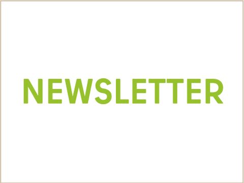 Logo Newsletter Website StabInt Newsletter quer