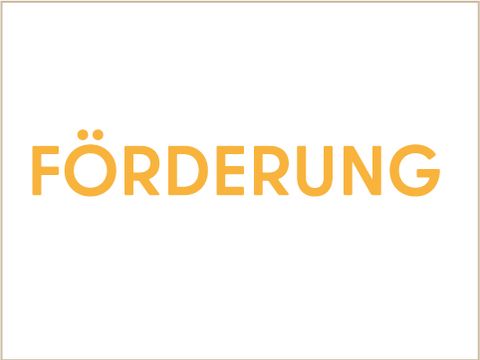 Logo Website StabInt Förderung