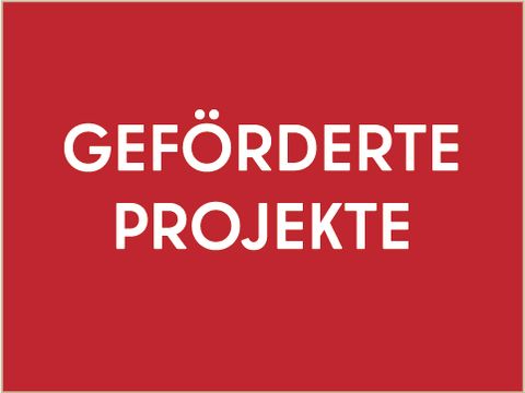 Button Website StabInt Geförderte Projekte