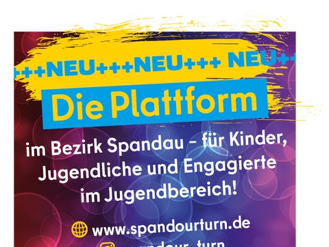 Die Plattform