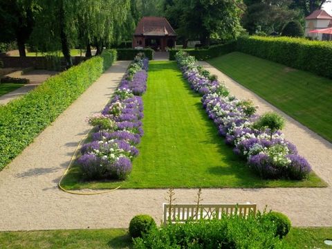 Foto vom Rosen-Garten