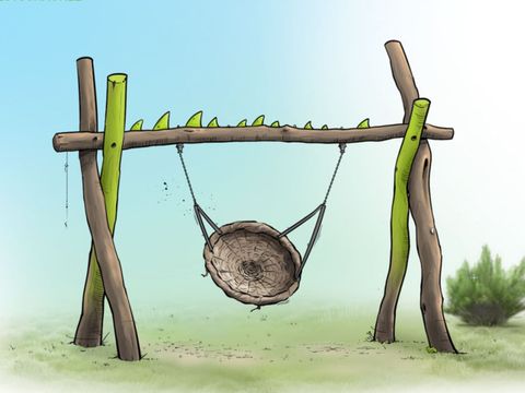 Nestschaukel