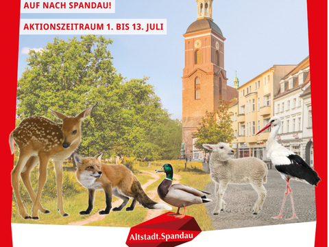 (Bild: BA Spandau)