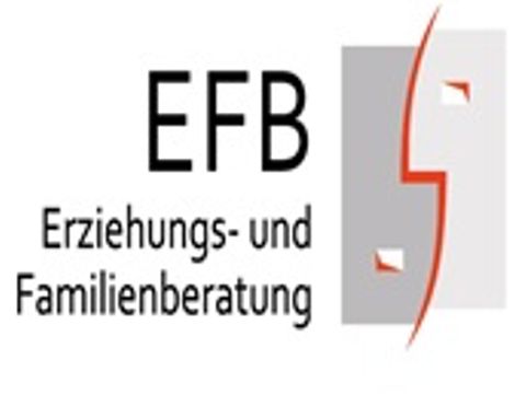 EFB 3