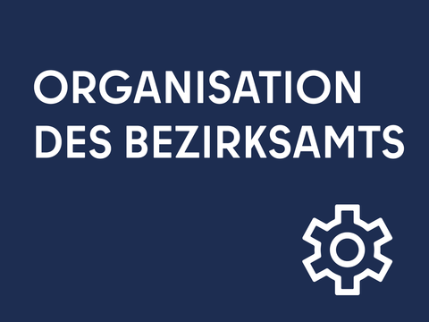 Organisation des Bezirksamtes
