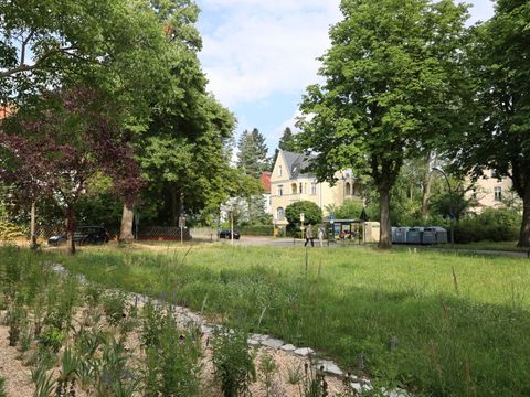 (Bild: Bezirksamt Steglitz-Zehlendorf)