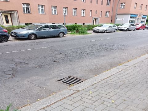 (Bild: Straßen- und Grünflächenamt Steglitz-Zehlendorf)