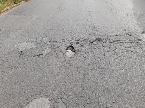 (Bild: Straßen- und Grünflächenamt Steglitz-Zehlendorf)
