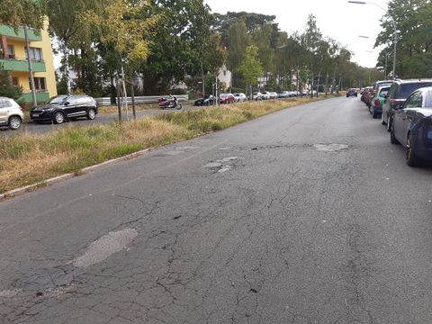 (Bild: Straßen- und Grünflächenamt Steglitz-Zehlendorf)