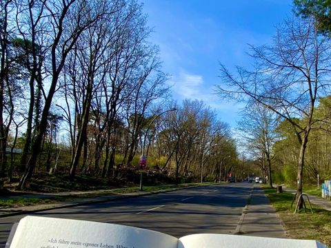 Onkel-Tom-Straße