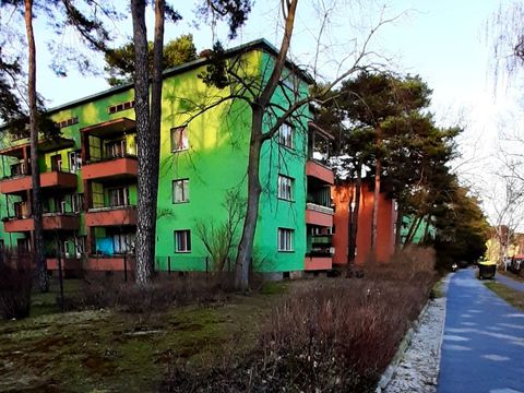 Siedlung Onkel Toms Hütte