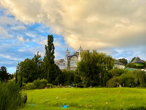 (Bild: Bezirksamt Steglitz-Zehlendorf)