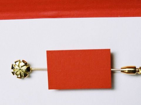 Abbildung der Berliner Ehrennadel