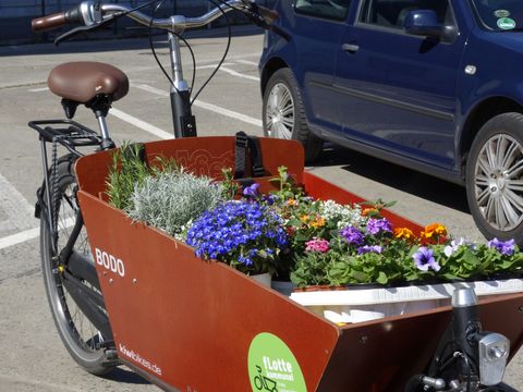 Lastenrad von fLotte