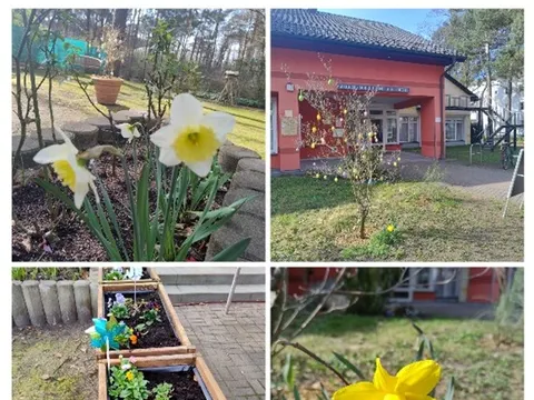 Garten.jpg