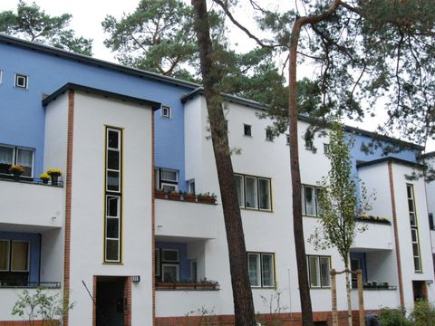 DdM 01-2013